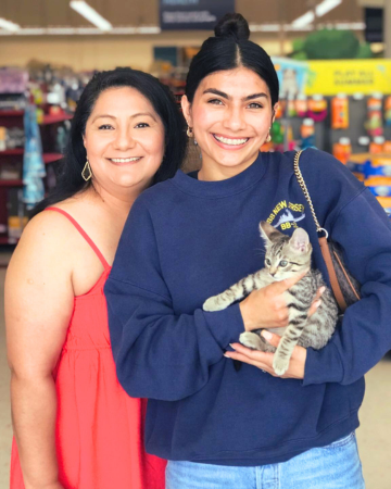 Adopt A Cat - Dynamo Was Adopted