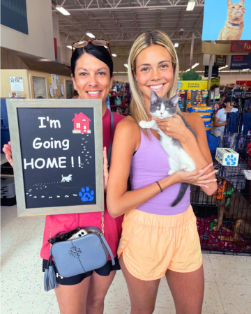 Adopt A Cat - Forest was Adopted!