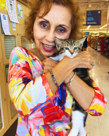 Adopt-A-Cat-Waylon-was-Adopted-1.png
