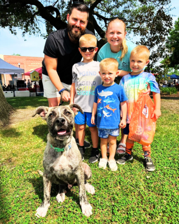 Adopt A Dog - Socks was Adopted!