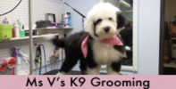 Rockwall Pets Rescue - Ms Vs K9 Grooming 2